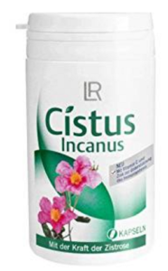 Cistus Incanus 186x300 - Cistus Incanus